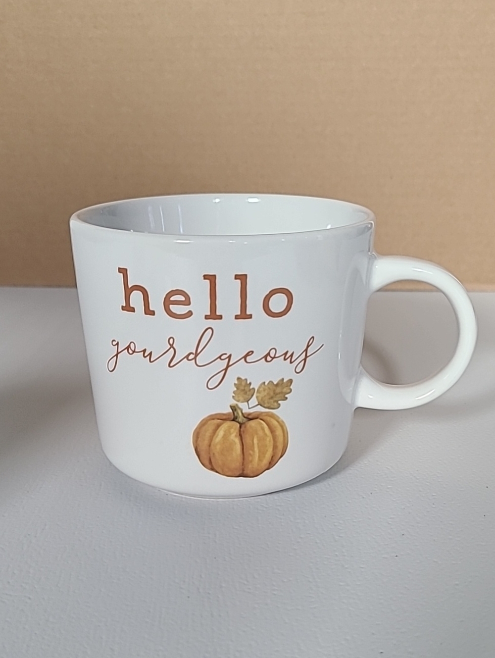 Holiday Home Hello Gourdgeous White Pumpkin Ceramic Mug Fall Decor